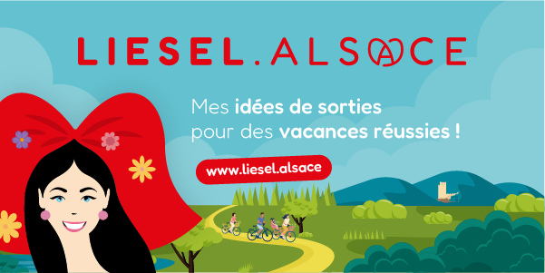 539558412-signature_mail_liesel_fr 539558412-signature_mail_liesel_fr
