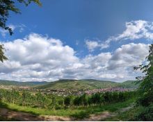 Vignoble et Collines Sèches Bollenberg Vignoble et Collines Sèches Bollenberg